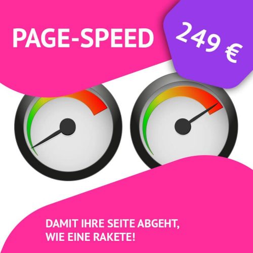 pagespeed-paket - pagespeed 1 500x500 - Pagespeed-Paket